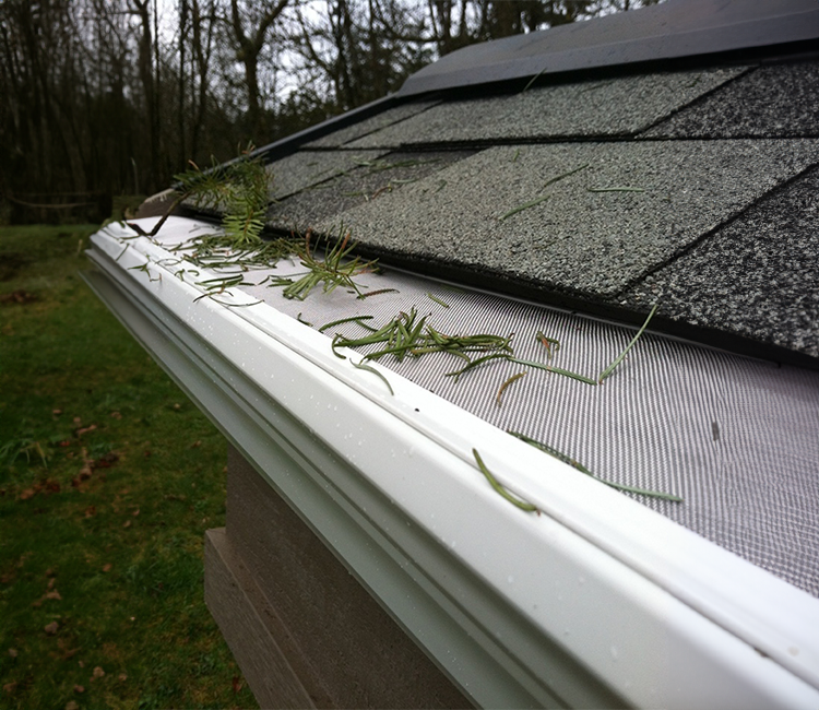 Slider - Gutter Guard