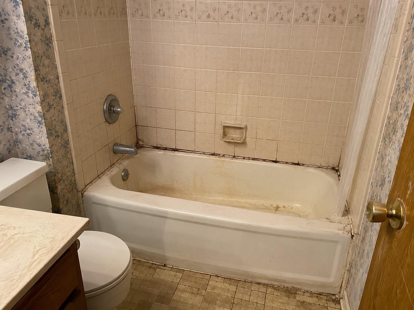 Tub-to-Shower-Conversion-before