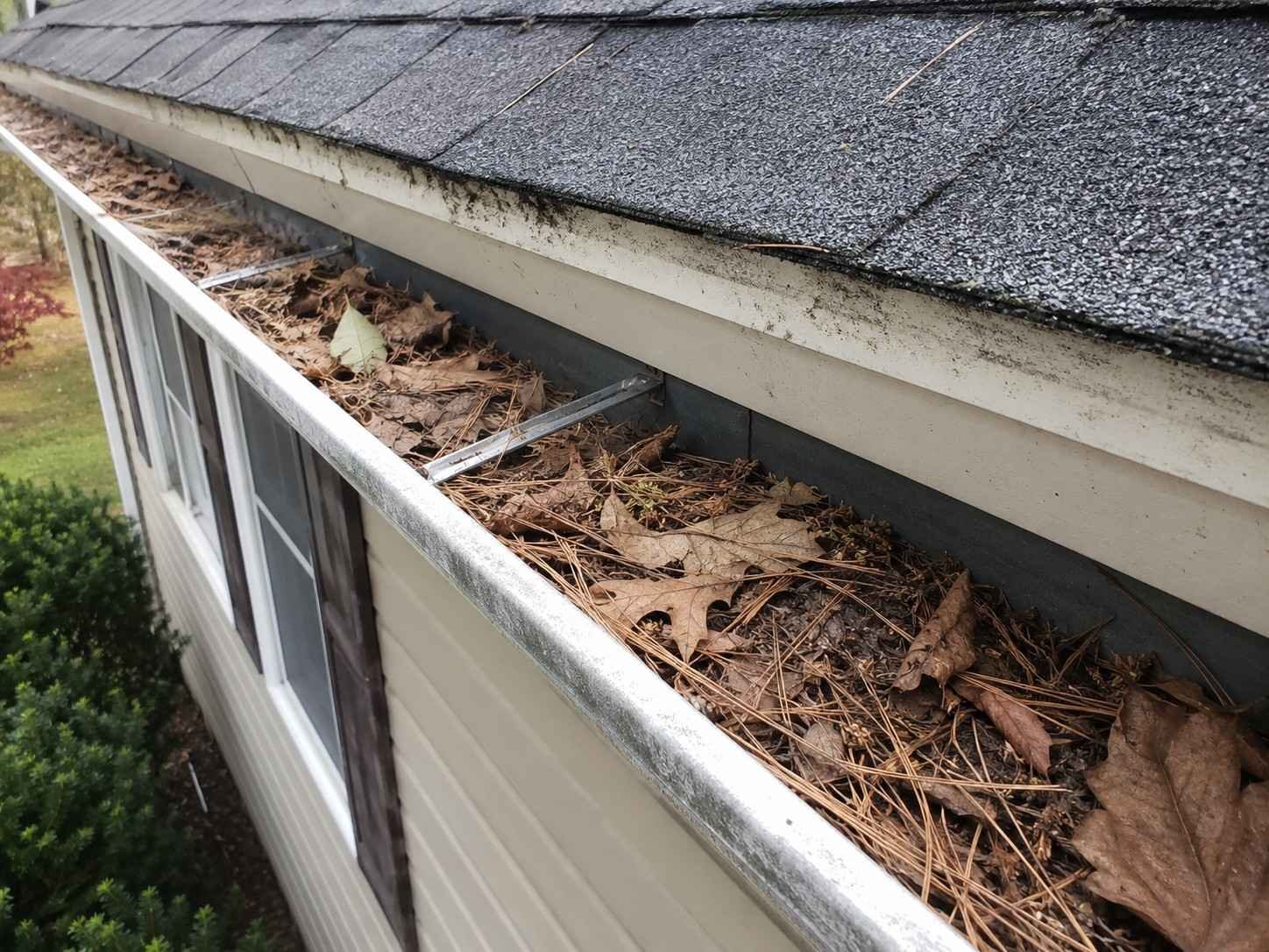 gutter-guards-before gutter-guards-before