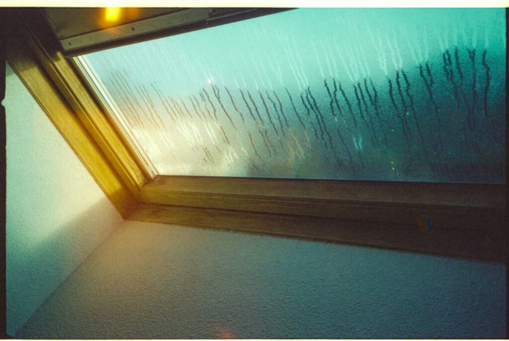 Window Condensation Central Michigan